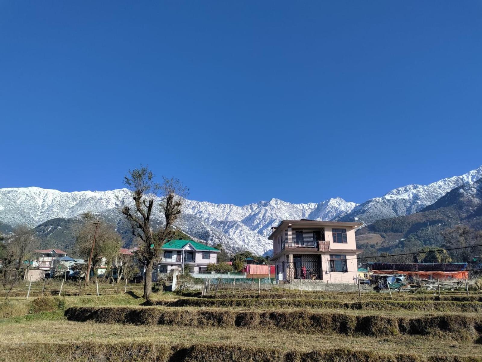 Homestay Palampur View Extérieur photo