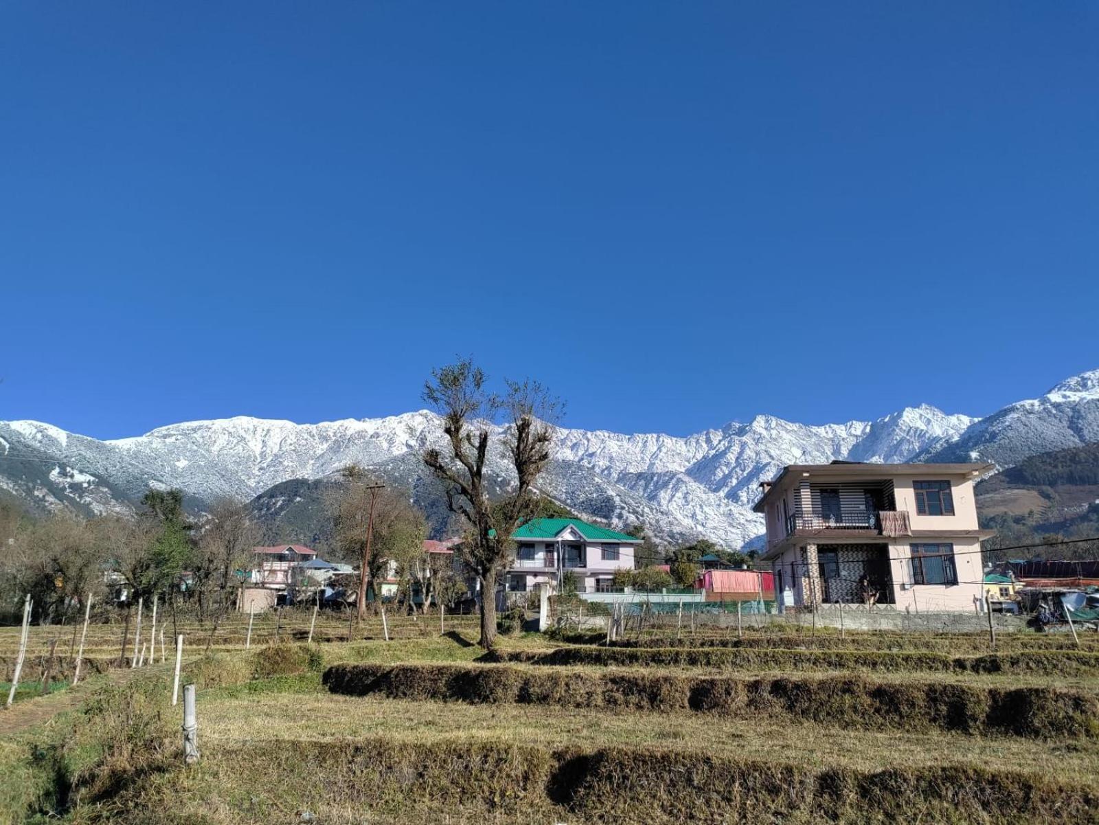 Homestay Palampur View Extérieur photo