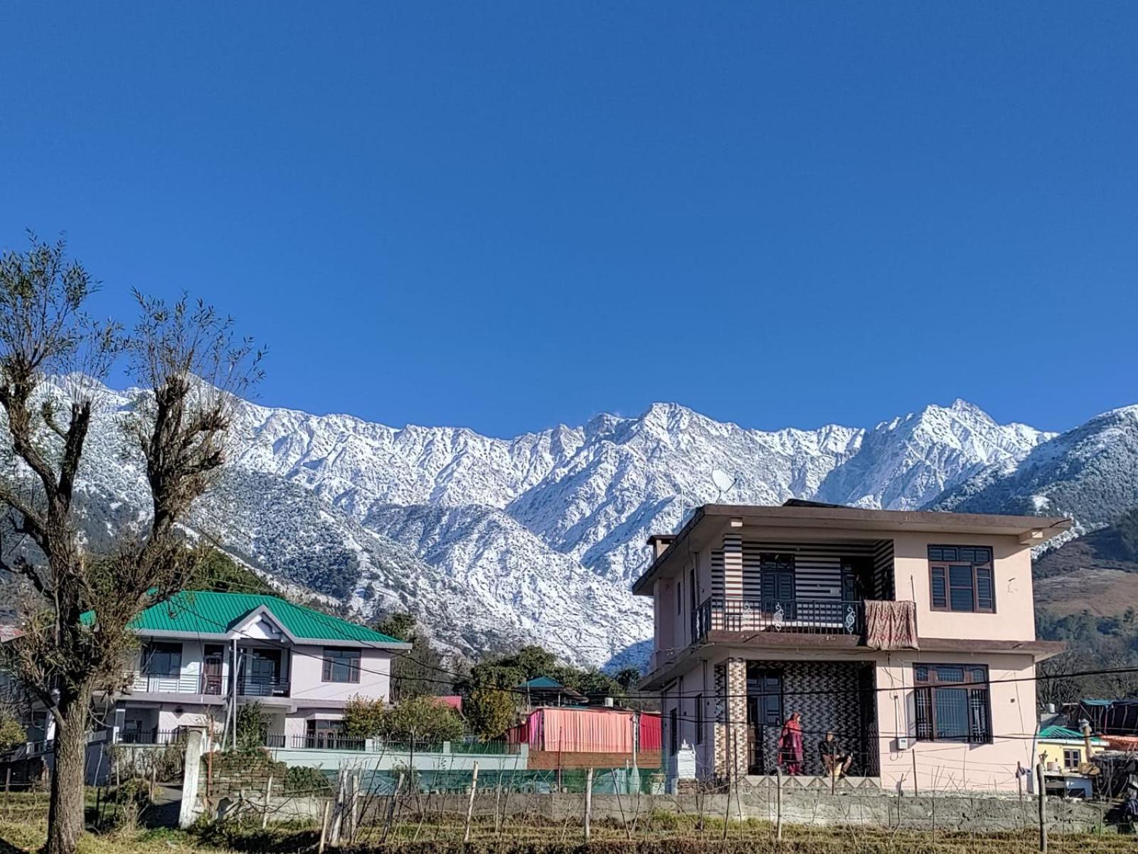 Homestay Palampur View Extérieur photo
